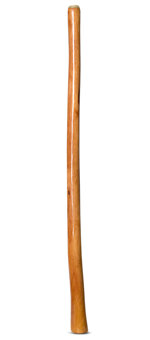 High Gloss Finish Didgeridoo (NW153)